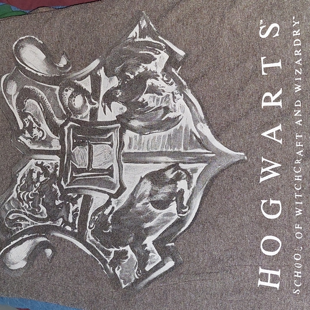 Lootcrate Exclusive Harry Potter Hogwarts House Small TShirt